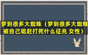 梦到很多大蜘蛛（梦到很多大蜘蛛被自己驱赶打死什么征兆 女性）